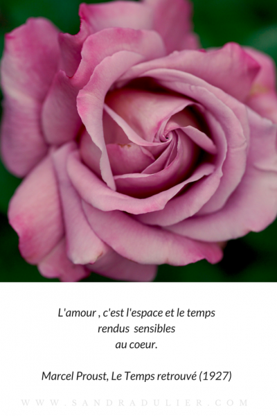 L amour marcel proust