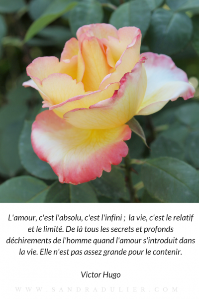 L amour victor hugo