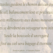 Les étoiles gardent le chemin