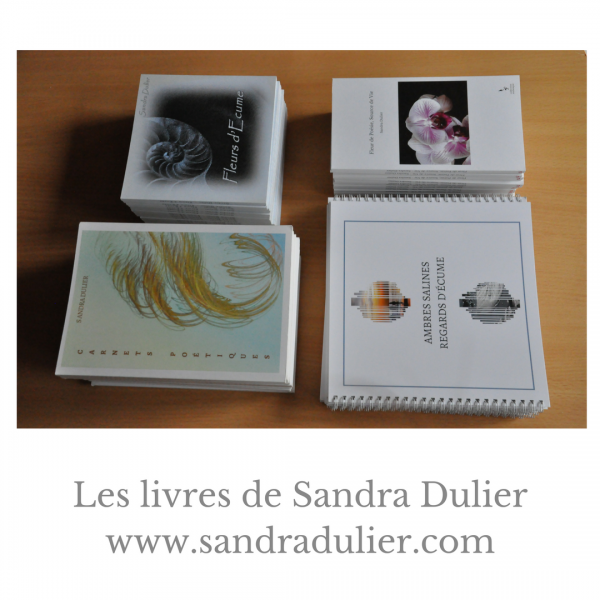 Livres sandra dulier 2018