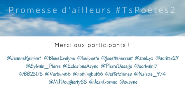 Merci à tous les participants #Tspoètes2 Toutes les infos sur http://www.sandradulier.com/blog/tspoetes2.html