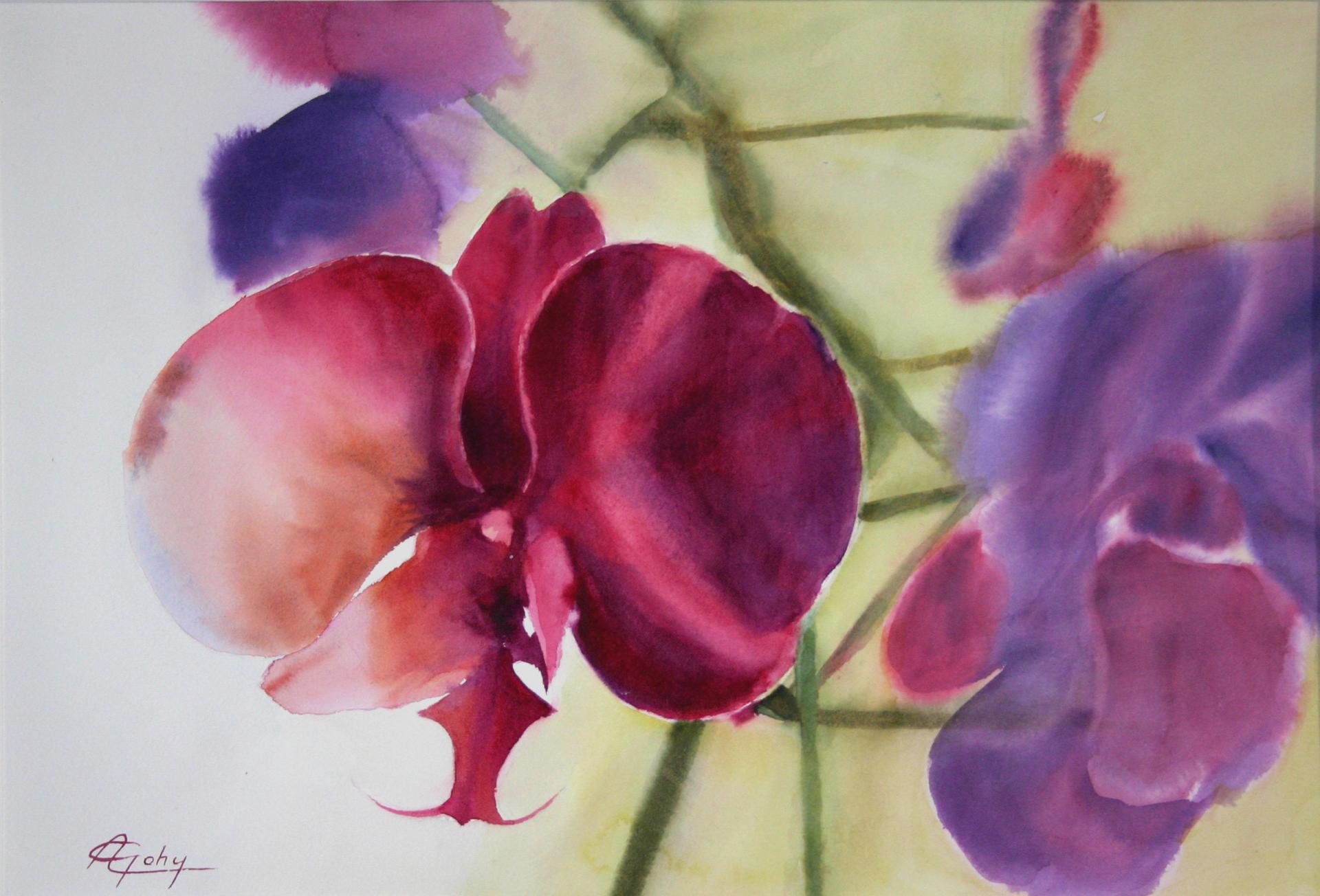 Orchidee d'Adyne Gohy sur le réseau Arts et Lettres