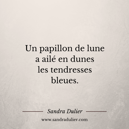 Papillon de lune