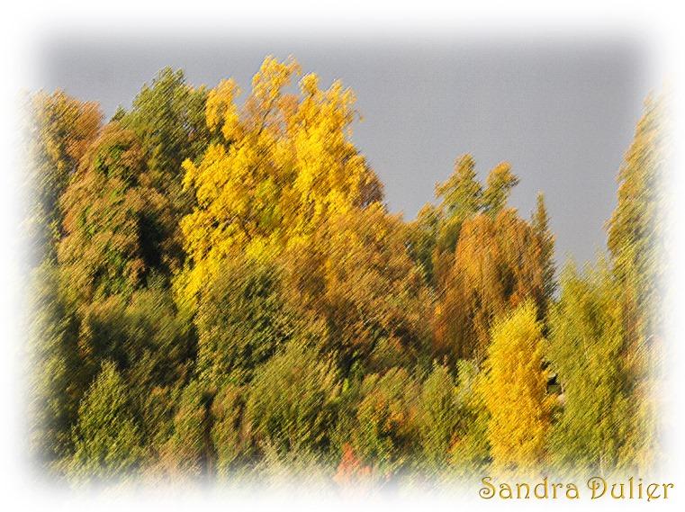 Photo automne sandra dulier