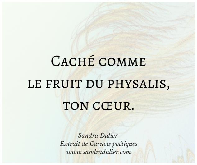 Physalis - extrait de Carnets poétiques de Sandra Dulier - amour - coeur - citation .
