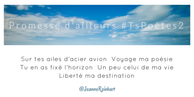 Tweet 1 - Découvrir le poème réalisé à partir des tweets proposés par les 24 participants de notre belle Francophonie pour le défi #TsPoètes2 sur http://www.sandradulier.com/blog/promesses-d-ailleurs-le-poeme-tspoetes2.html