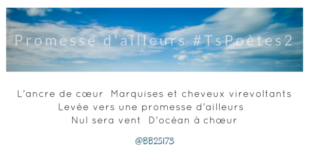 Tweet 11 - Découvrir le poème réalisé à partir des tweets proposés par les 24 participants de notre belle Francophonie pour le défi #TsPoètes2 sur http://www.sandradulier.com/blog/promesses-d-ailleurs-le-poeme-tspoetes2.html