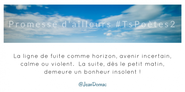 Tweet 17 - Découvrir le poème réalisé à partir des tweets proposés par les 24 participants de notre belle Francophonie pour le défi #TsPoètes2 sur http://www.sandradulier.com/blog/promesses-d-ailleurs-le-poeme-tspoetes2.html