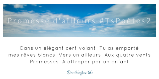 Tweet 20 - Découvrir le poème réalisé à partir des tweets proposés par les 24 participants de notre belle Francophonie pour le défi #TsPoètes2 sur http://www.sandradulier.com/blog/promesses-d-ailleurs-le-poeme-tspoetes2.html