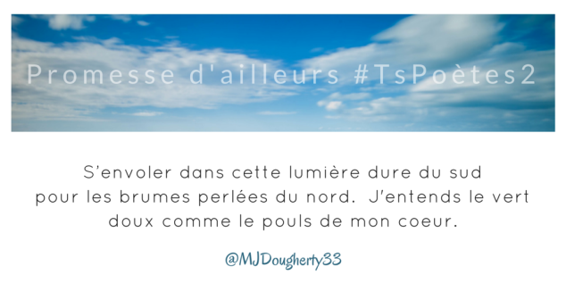 Tweet 23 - Découvrir le poème réalisé à partir des tweets proposés par les 24 participants de notre belle Francophonie pour le défi #TsPoètes2 sur http://www.sandradulier.com/blog/promesses-d-ailleurs-le-poeme-tspoetes2.html