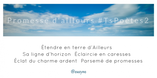 Tweet 24 - Découvrir le poème réalisé à partir des tweets proposés par les 24 participants de notre belle Francophonie pour le défi #TsPoètes2 sur http://www.sandradulier.com/blog/promesses-d-ailleurs-le-poeme-tspoetes2.html
