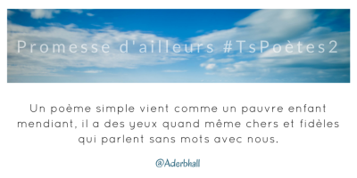 Tweet 27 - Découvrir le poème réalisé à partir des tweets proposés par les 24 participants de notre belle Francophonie pour le défi #TsPoètes2 sur http://www.sandradulier.com/blog/promesses-d-ailleurs-le-poeme-tspoetes2.html