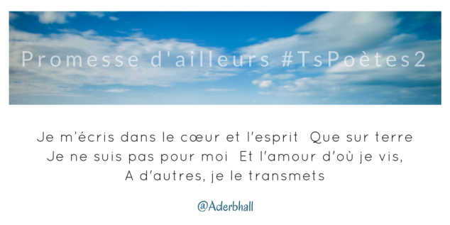 Tweet 35 - Découvrir le poème réalisé à partir des tweets proposés par les 24 participants de notre belle Francophonie pour le défi #TsPoètes2 sur http://www.sandradulier.com/blog/promesses-d-ailleurs-le-poeme-tspoetes2.html