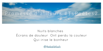 Tweet 44 - Découvrir le poème réalisé à partir des tweets proposés par les 24 participants de notre belle Francophonie pour le défi #TsPoètes2 sur http://www.sandradulier.com/blog/promesses-d-ailleurs-le-poeme-tspoetes2.html