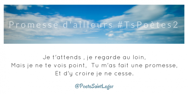 Tweet 46 - Découvrir le poème réalisé à partir des tweets proposés par les 24 participants de notre belle Francophonie pour le défi #TsPoètes2 sur http://www.sandradulier.com/blog/promesses-d-ailleurs-le-poeme-tspoetes2.html