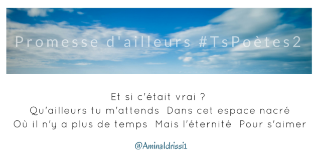 Tweet 48 - Découvrir le poème réalisé à partir des tweets proposés par les 24 participants de notre belle Francophonie pour le défi #TsPoètes2 sur http://www.sandradulier.com/blog/promesses-d-ailleurs-le-poeme-tspoetes2.html