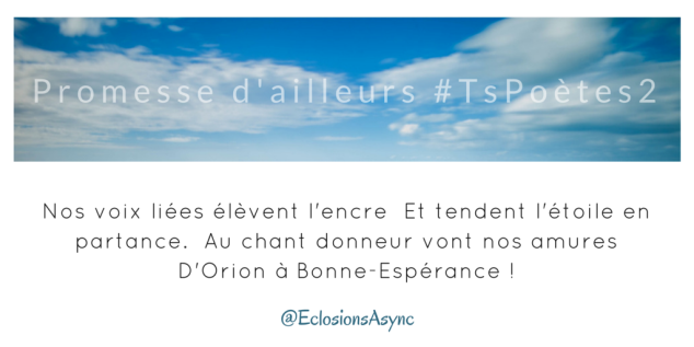 Tweet 8 - Découvrir le poème réalisé à partir des tweets proposés par les 24 participants de notre belle Francophonie pour le défi #TsPoètes2 sur http://www.sandradulier.com/blog/promesses-d-ailleurs-le-poeme-tspoetes2.html