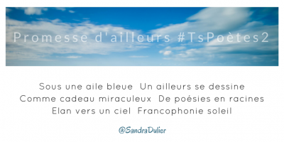 Tweet inspiration 2 - Découvrir le poème réalisé à partir des tweets proposés par les 24 participants de notre belle Francophonie pour le défi #TsPoètes2 http://sur www.sandradulier.com/blog/promesses-d-ailleurs-le-poeme-tspoetes2.html