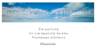 Tweet inspiration 4 - Découvrir le poème réalisé à partir des tweets proposés par les 24 participants de notre belle Francophonie pour le défi #TsPoètes2 sur http://www.sandradulier.com/blog/promesses-d-ailleurs-le-poeme-tspoetes2.html