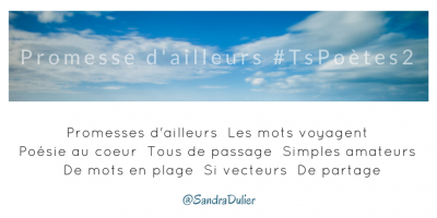 Tweet inspiration 5 - Découvrir le poème réalisé à partir des tweets proposés par les 24 participants de notre belle Francophonie pour le défi #TsPoètes2 sur http://www.sandradulier.com/blog/promesses-d-ailleurs-le-poeme-tspoetes2.html